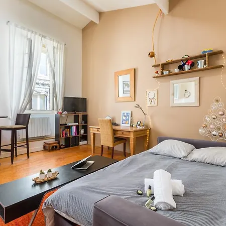 Gorgeous In The Heart Of Apartment Bordeaux